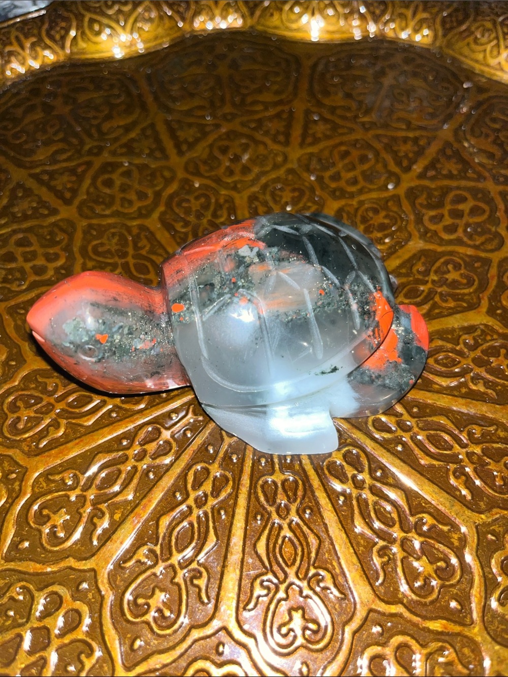 Bloodstone turtle